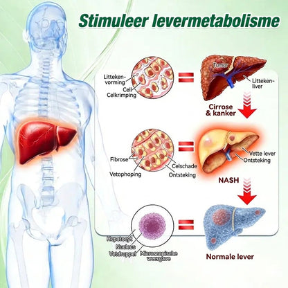 🇳🇱 𝐎𝐟𝐟𝐢𝐜𝐢𝐞𝐥𝐞 𝐍𝐞𝐝𝐞𝐫𝐥𝐚𝐧𝐝𝐬𝐞 𝐖𝐢𝐧𝐤𝐞𝐥 Amelovi® 𝐌𝐨𝐫𝐢𝐧𝐠𝐚 · 𝐁𝐞𝐫𝐛𝐞𝐫𝐢𝐧𝐞 × 𝐍𝐀𝐃+ 𝟏𝟎-𝐢𝐧-𝟏 𝐆𝐞𝐚𝐯𝐚𝐧𝐜𝐞𝐞𝐫𝐝𝐞 𝐍𝐚𝐧𝐨 𝐌𝐢𝐜𝐫𝐨𝐧𝐞𝐞𝐝𝐥𝐞 𝐏atch