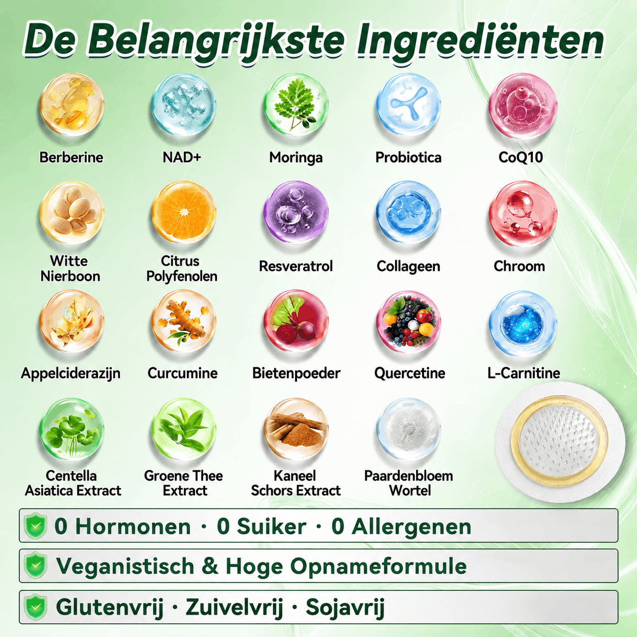 🇳🇱 𝐎𝐟𝐟𝐢𝐜𝐢𝐞𝐥𝐞 𝐍𝐞𝐝𝐞𝐫𝐥𝐚𝐧𝐝𝐬𝐞 𝐖𝐢𝐧𝐤𝐞𝐥 Amelovi® 𝐌𝐨𝐫𝐢𝐧𝐠𝐚 · 𝐁𝐞𝐫𝐛𝐞𝐫𝐢𝐧𝐞 × 𝐍𝐀𝐃+ 𝟏𝟎-𝐢𝐧-𝟏 𝐆𝐞𝐚𝐯𝐚𝐧𝐜𝐞𝐞𝐫𝐝𝐞 𝐍𝐚𝐧𝐨 𝐌𝐢𝐜𝐫𝐨𝐧𝐞𝐞𝐝𝐥𝐞 𝐏atch